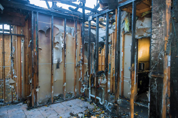 Professional Fire Damage Removal technician working in New Hampton, IA